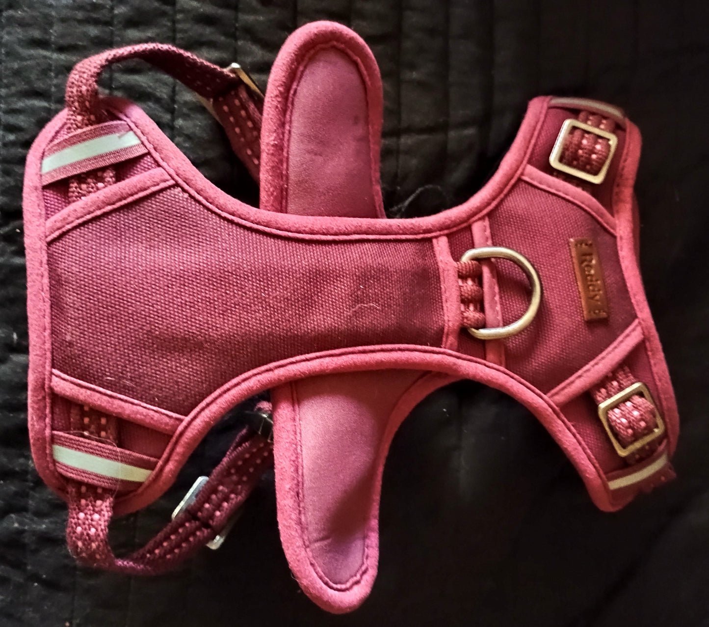 "Sporty" harness stable harness ergonomic fit in retro look leather handle harness with 2 buckles with 4 size-adjustable straps with 2 D-rings with reflective stripes colour: red Small