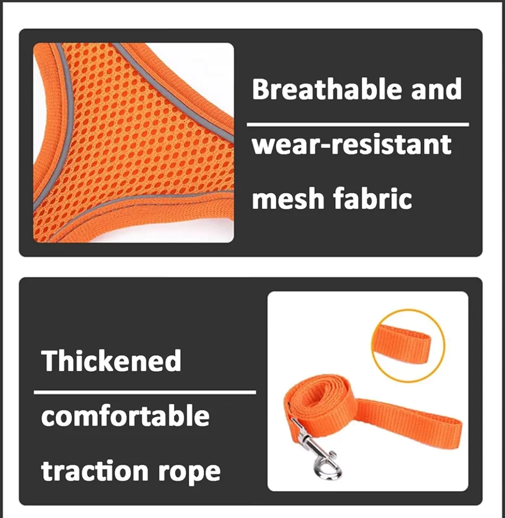 Stimulicat Cat/Dog Harness, Adjustable Cat Harness and Leash Set–Escape Proof Soft Mesh Vest, with Reflective Safety Strips, for Cats and Dogs (Orange Blue,L)