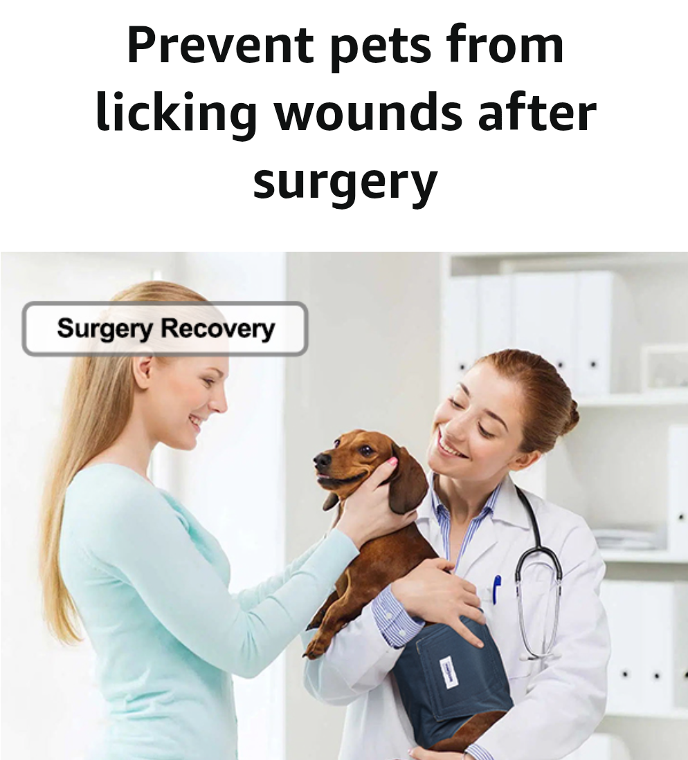 Washable Dog Diapers Male Reusable, Premium Belly Bands for Male Dogs, Pack of 3, High Absorbing Extra Large Male Dog Pee Wraps for Doggies in Incontinence or Excitable Urination and Training(XL)