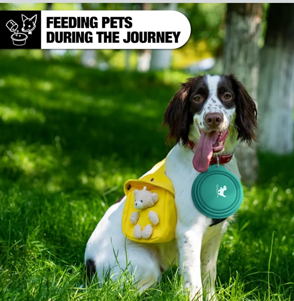 Rest-Eazzzy 2-Pack Silicone Collapsible Dog Bowls, BPA Free Dishwasher Safe, Portable Foldable Travel Bowl, Food Water Feeding Cup Dish for Dogs Cats with 2 Carabiners (Green, Pink, 550 ML)