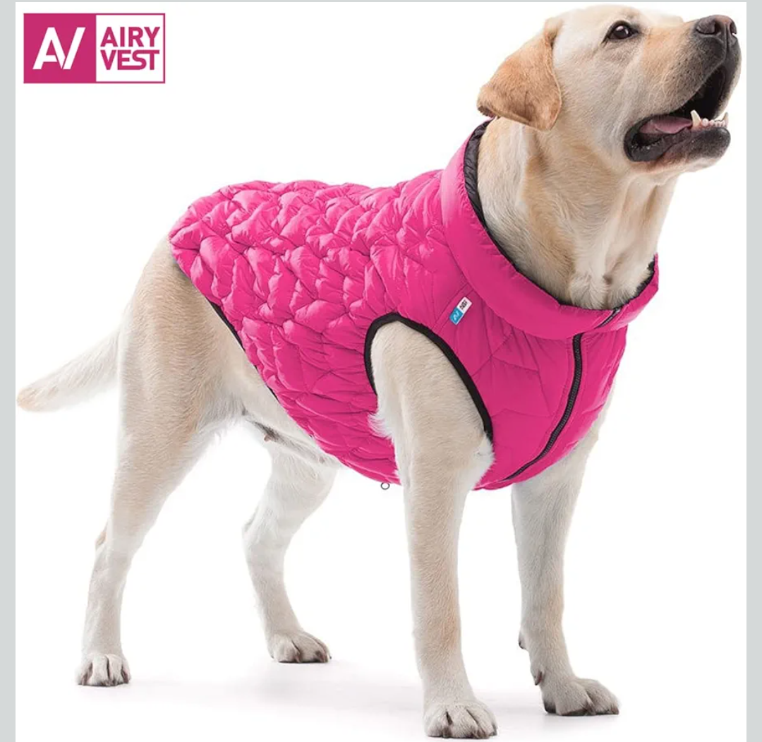 Dog Winter Coat UNI - Lightweight Reversible Warm Dog Jacket - Water Resistant Windproof Jacket XS