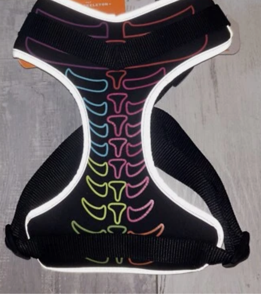 Halloween Neon Skeleton Dog Harness Costume Hyde & Eek Boutique Size M