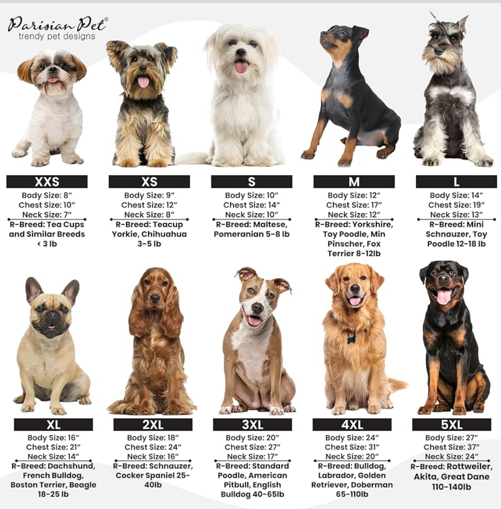 Parisian Pet Dog Tshirt - Embroidered Unicorn Dog Shirt - 100% Cotton, Lightweight Dog Clothes Female - Sleeveless Pink Dog Tee Shirts - L