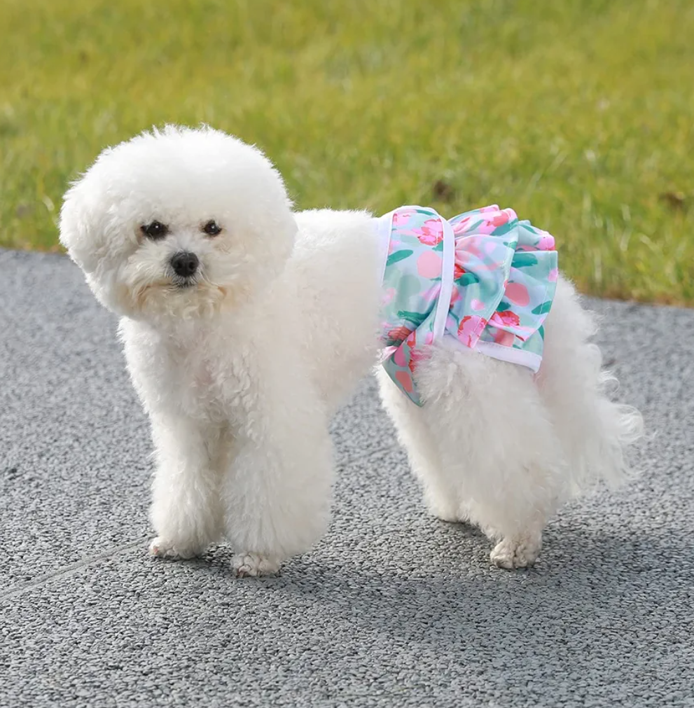 Washable Dog Diapers Female Reusable Highly Absorbent Doggie Diapers, Flexible Doggy Diapers Female Durable Leak-Proof Diapers for Dog Period Heat Incontinence Potty Training, Medium