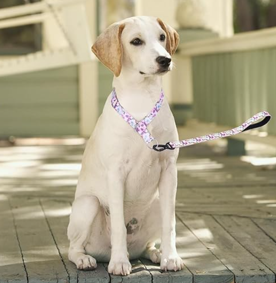 Martingale Dog Collar - No Pull Training Collar with Flower Multicolor Cute Patterns - Premium No Slip Collar with Slidable Stop Ring - Suitable for Small, Medium, Large Dogs (L, Butterflies))