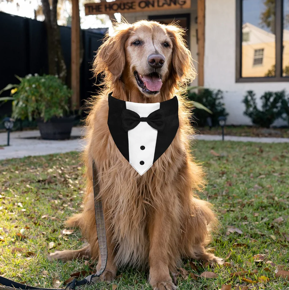 Dog Tuxedo Suit Wedding Bandana Collar with Bow Tie, Adjustable Formal Dog Tux, Engagement Birthday Tuxedo for Small Medium Large Dogs Pets (Large: Neck 15”-25”)
