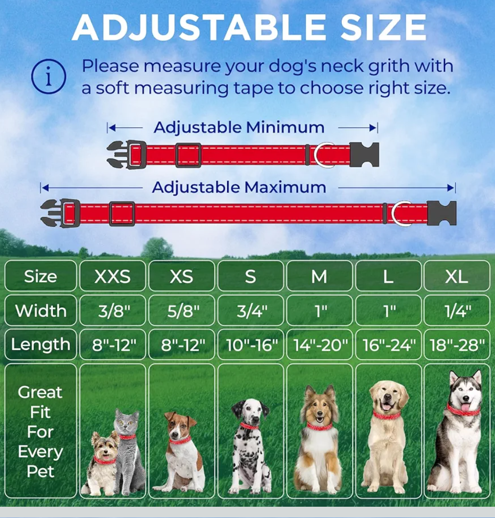 TECEUM Reflective Dog Collar – Red – M – Basic Nylon Pet Collar – Quick Release Buckle – Fits Small, Medium and Large Dogs, Puppies, Cats (Red)