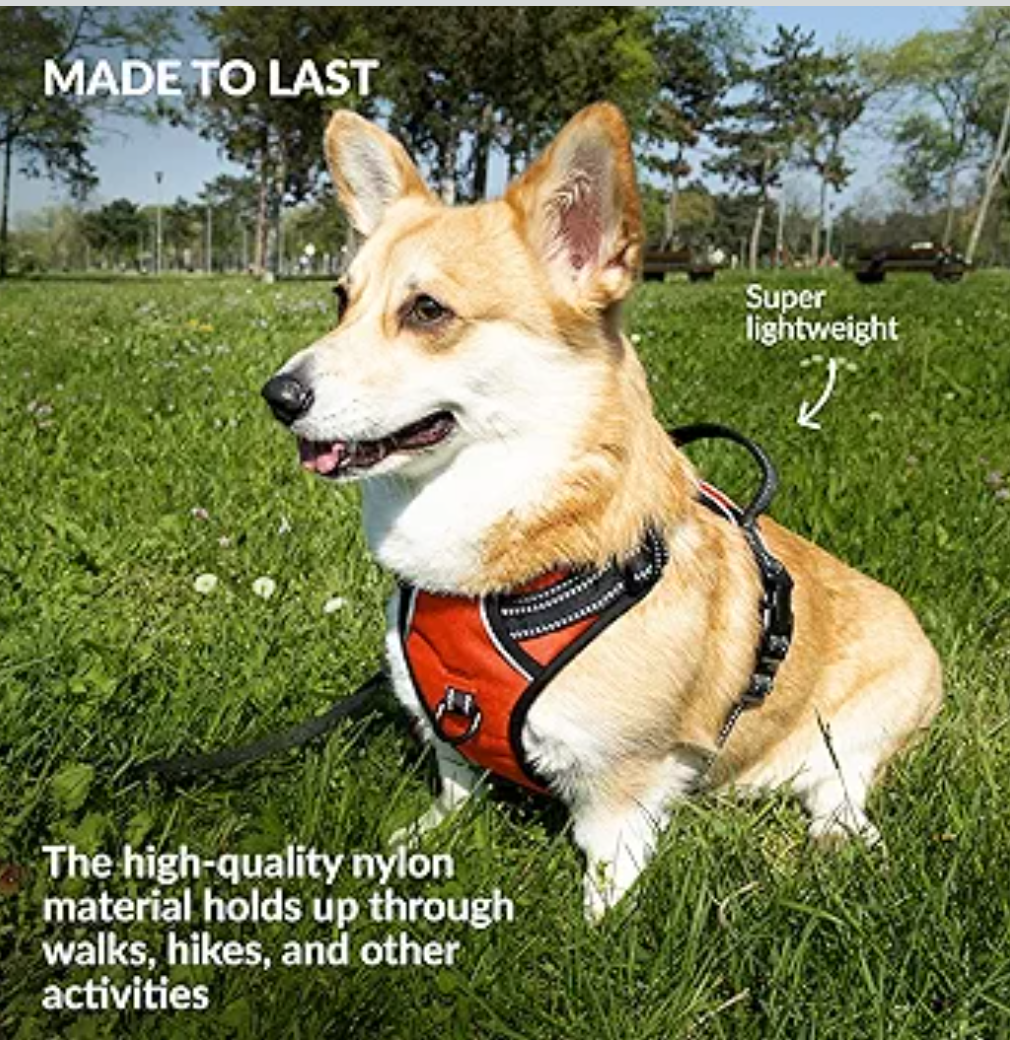 CollarDirect No Pull Reflective Dog Harness with Handle and Front Clip, Adjustible Soft Padded Vest for Small to Large Dogs Training and Walk (Size XL, Black)