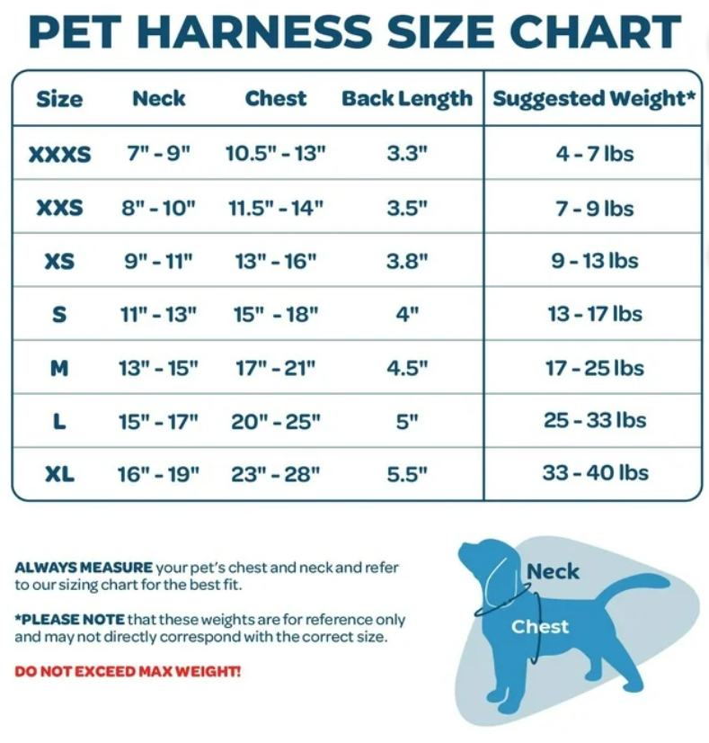 Voyager Step-In Lock Cat Harness and Matching Leash- Adjustable Step-In Vest Harness for Small and Large Cats by Best Pet Supplies