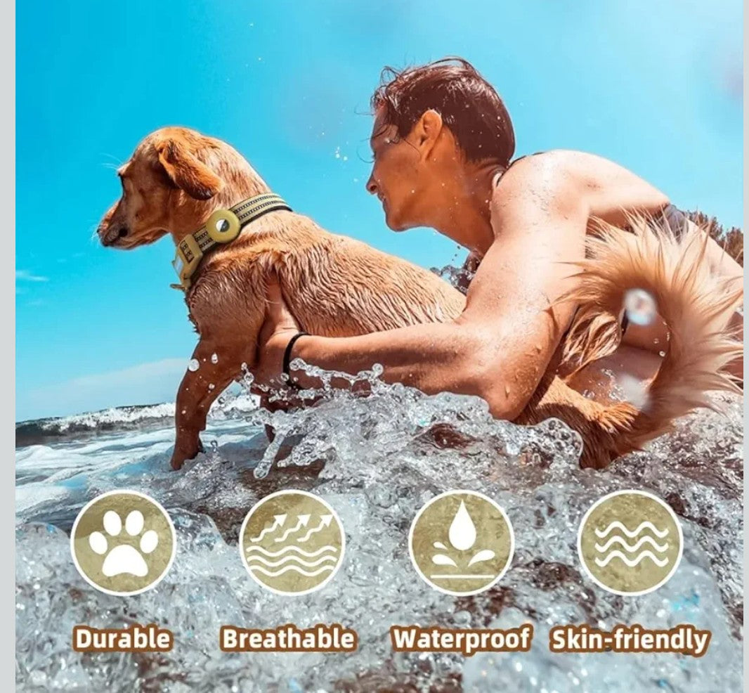 Reflective Dog Collar MEDIUM