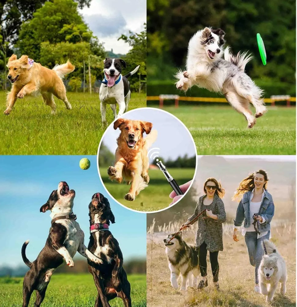 Dog Training Kit, Dog Whistle to Stop Barking Neighbors Dog, Dog Clicker for Training, Adjustable Ultrasonic Silent Dog Whistle(Black)