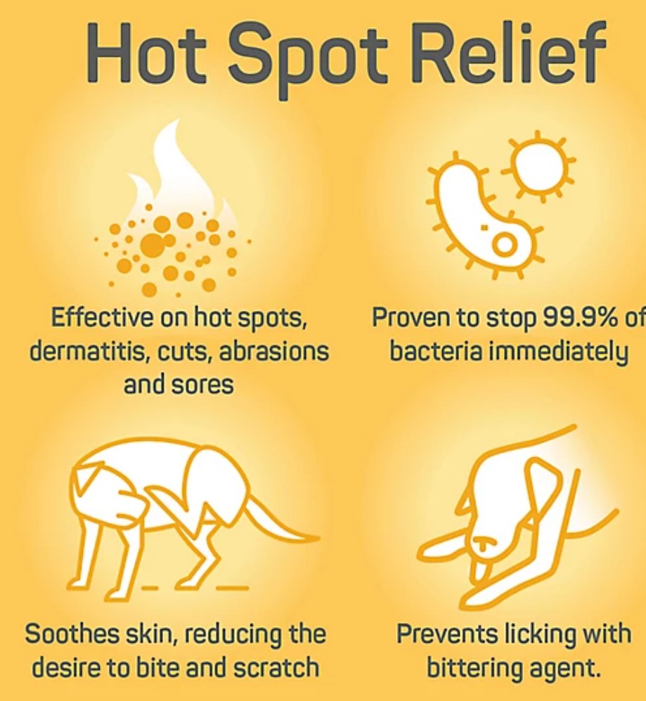 Silver Honey Hot Spot and Wound Care Antimicrobial Ointment for Pets (Dog, Cat, Horse), 2 oz.