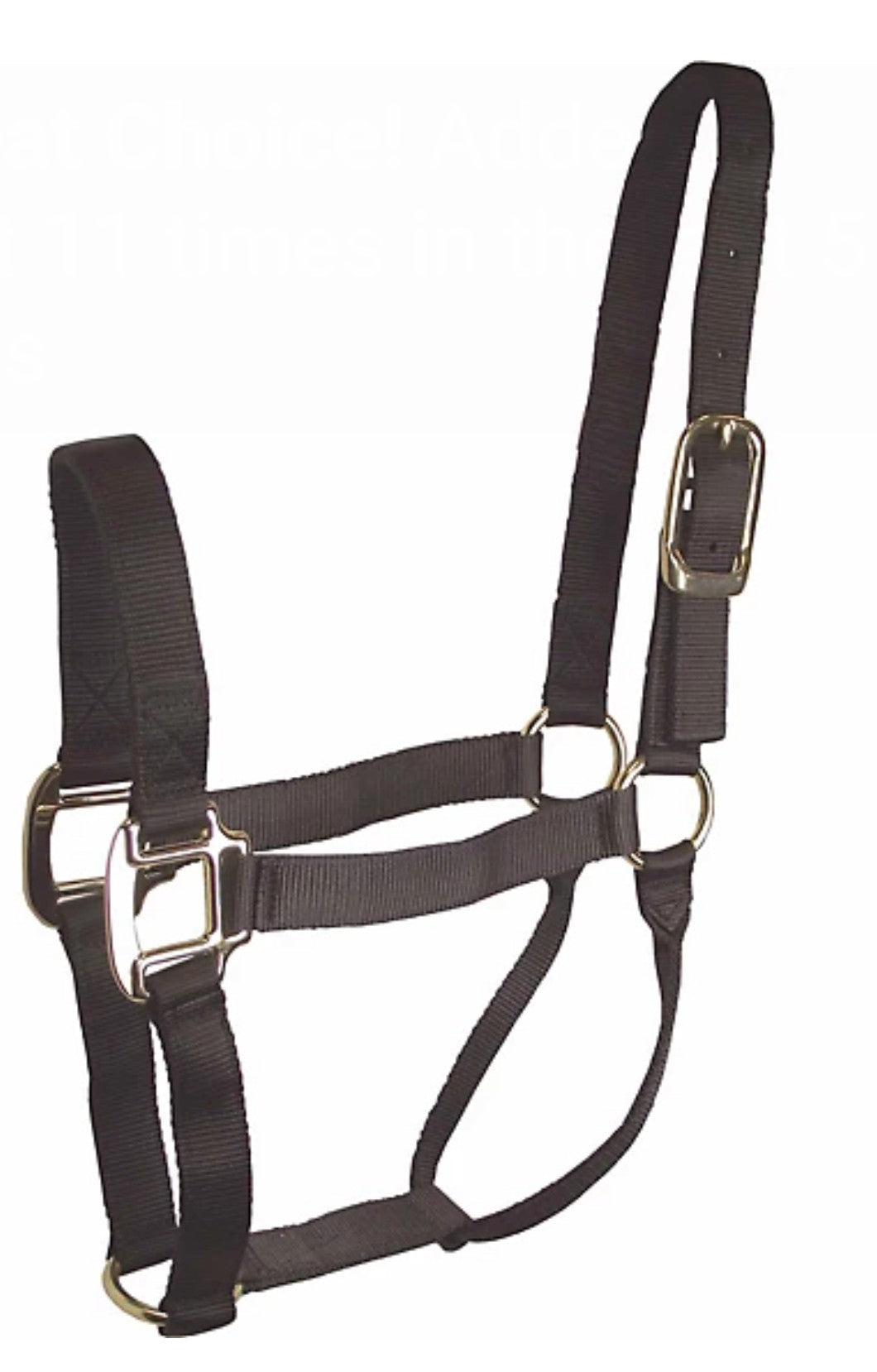 DuMOR Nylon Classic Horse Halter, Royal M