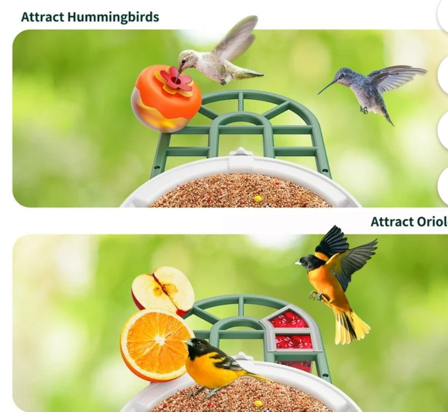 Smart Bird Feeder with Camera, WiFi Bird Watching Camera, AI Recognition, Solar Powered, Squirrel Proof, 1080p HD, Gift for Bird Lovers