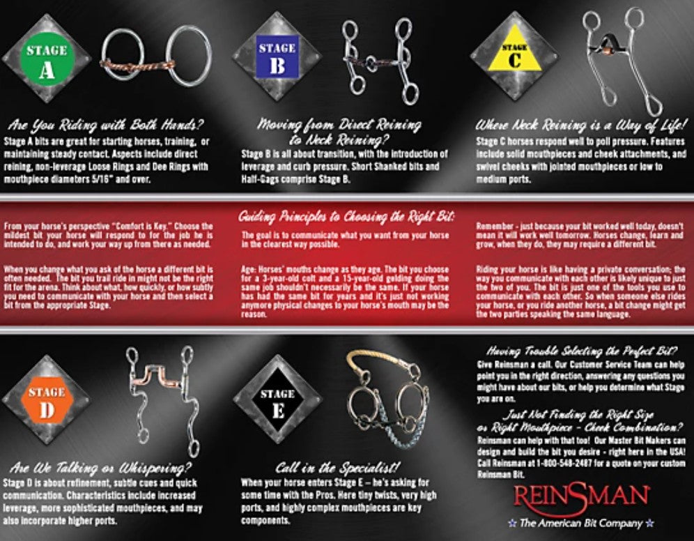 Reinsman 7 in. Shank Circle R Correction Bit
