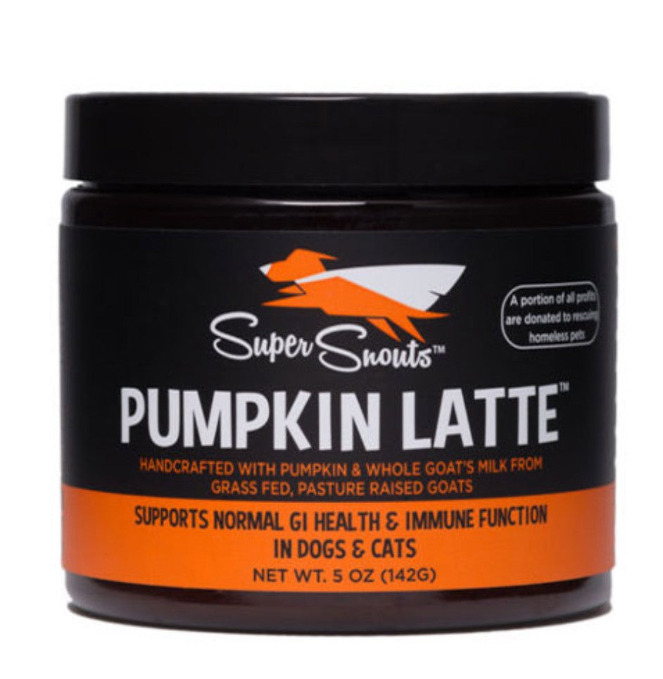 Super Snouts - Pumpkin Latte- Sale