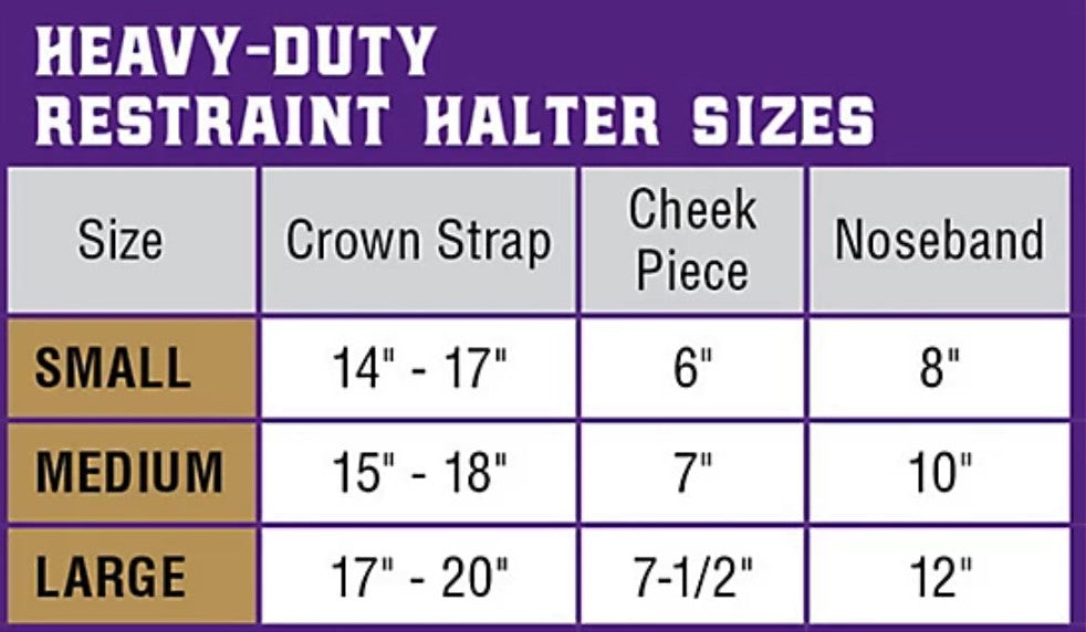 Weaver Livestock Leather Dairy/Beef Rounded Show Halter, 14-17 in. Crown Strap, 5-1/4 in. Cheek Piece, 7 in. Noseband