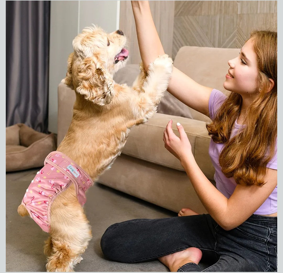 Langsprit Washable Female Dog Diapers - Doggie Reusable Diapers for Doggy Puppy Female in Period - Highly Absorbent Dog Heat Panties (Flamingo Duck) M