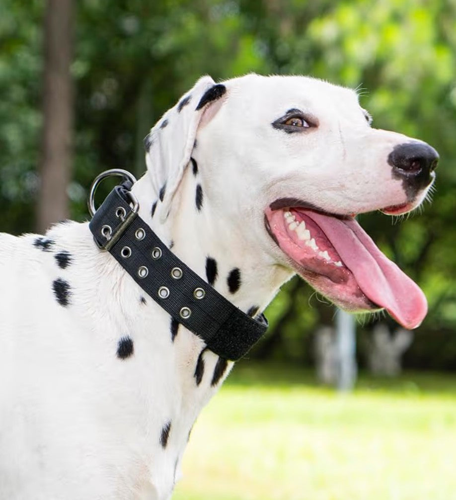 JSXD Tactical Dog Collar,Military Grade Nylon with Soft Padded Lining,1.5 inch Wide,Metal Buckle with 5 Adjustable Points,Heavy Duty Dog Collar for Medium Large Dogs (camo, Large)