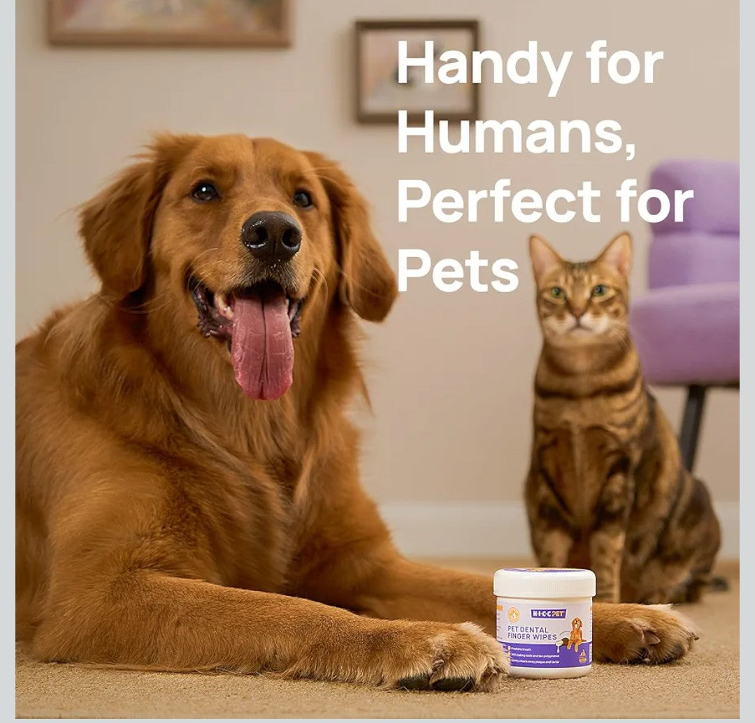 HICC Pet Teeth Cleaning Wipes for Dogs & Cats, Vet-Recommended Remove Bad Breath & Plaque & Tartar Buildup Dog Finger Toothbrush Wipes, Dog Tooth Brushing Kit Remove Stain & Gum Care for Small Animal