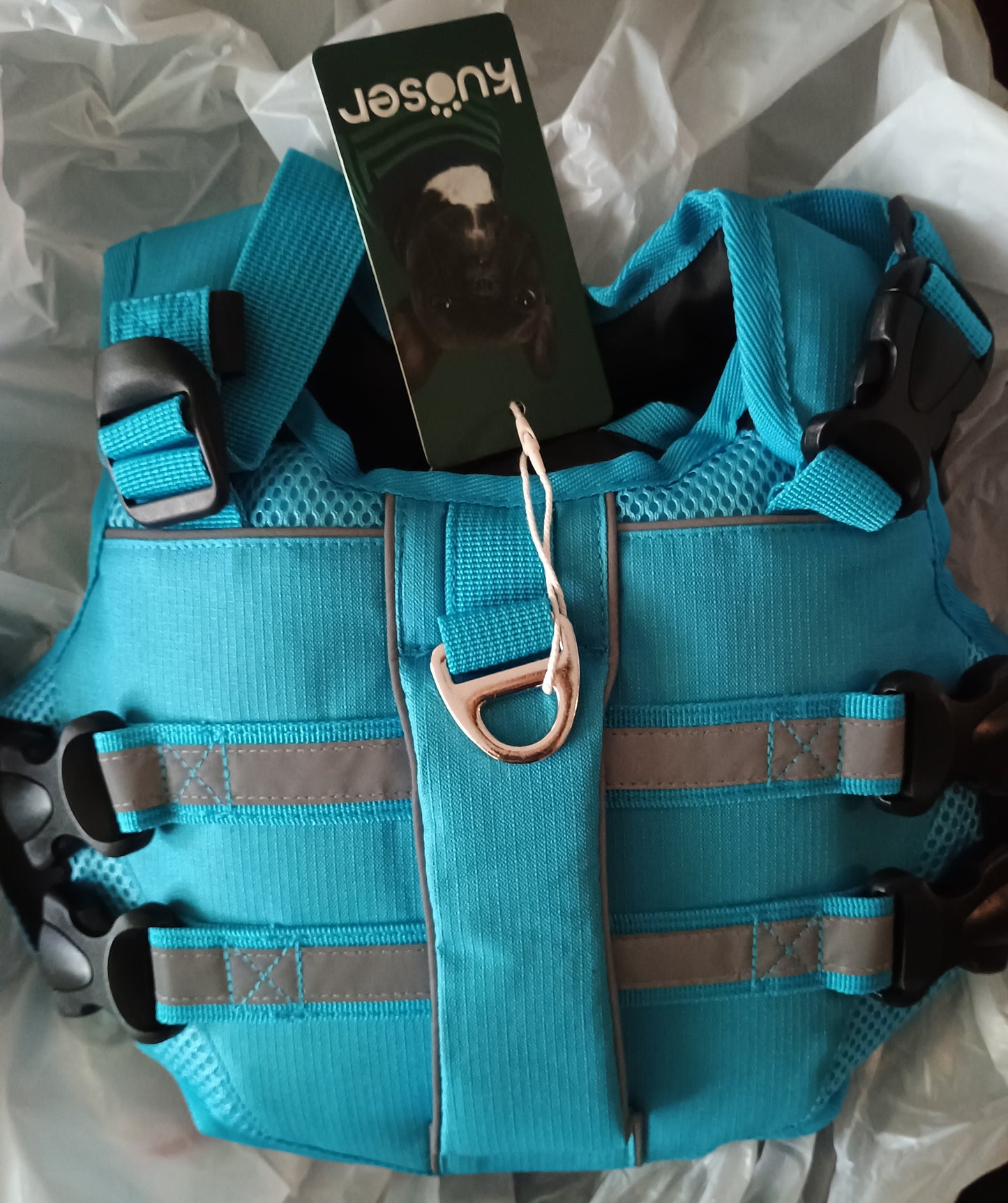 Kuoser Extra Small Life Jacket for Dogs, Life Jacket with Handle and Reflective, Adjustable Dog Life Jacket, Life Jacket for Small Dogs with Improved Buoyancy, Blue, XS