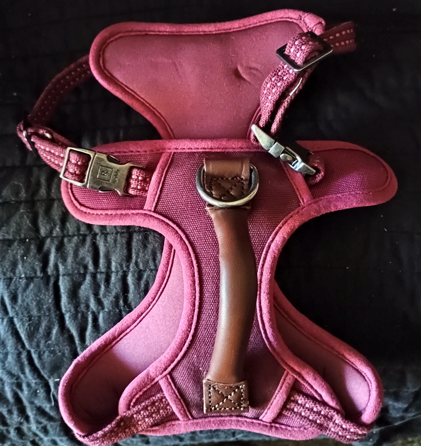 "Sporty" harness  stable harness ergonomic fit in retro look leather handle harness with 2 buckles with 4 size-adjustable straps with 2 D-rings with reflective stripes colour: red Small