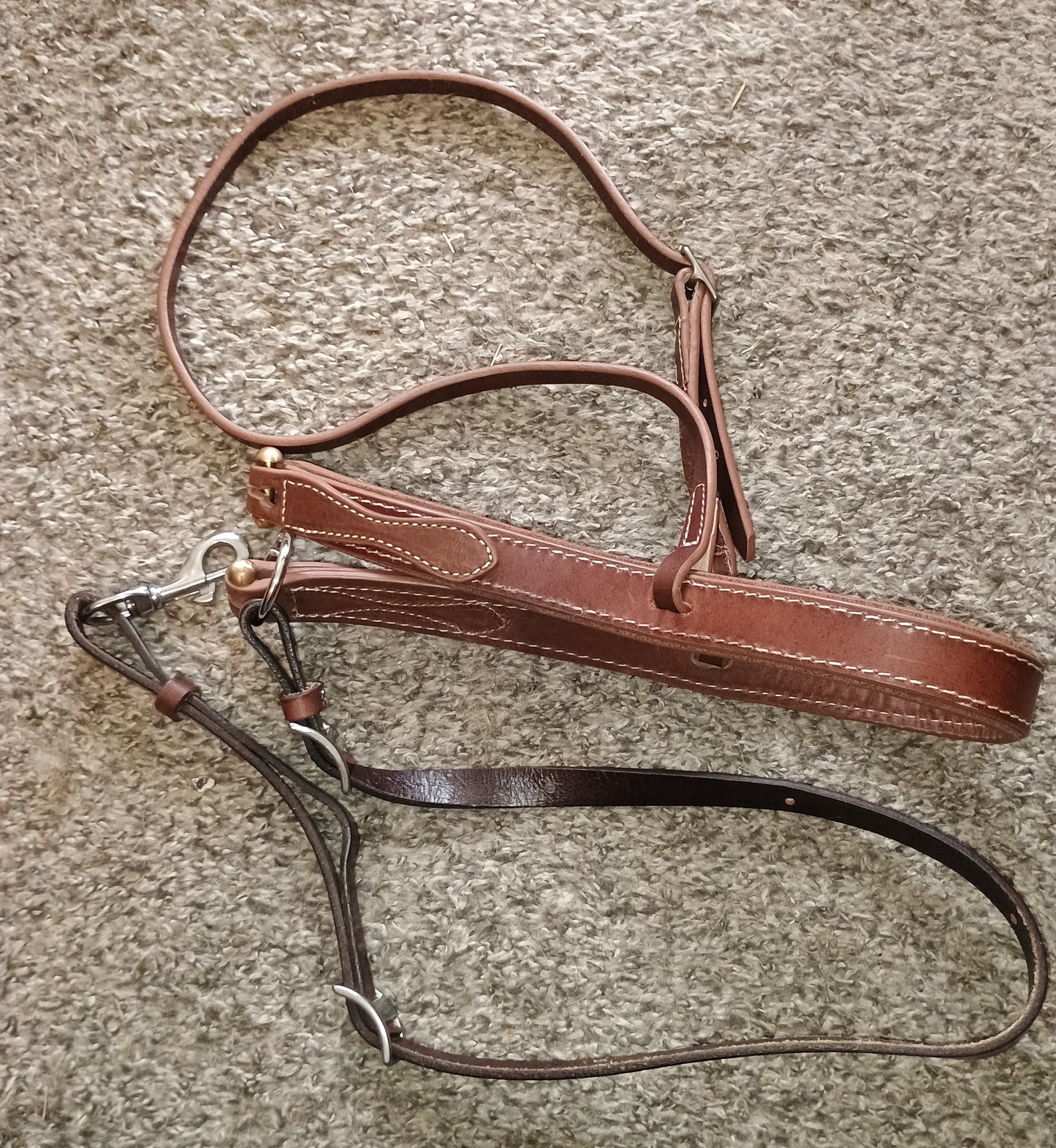 Jeereal Round Nose Caveson Rolled Adjustable Noseband with Leather Horse Tie Down Strap for Horses Efficient Horse Training Aid | Premium Heavy Oiled Harness Leather | Reinforced Stitching