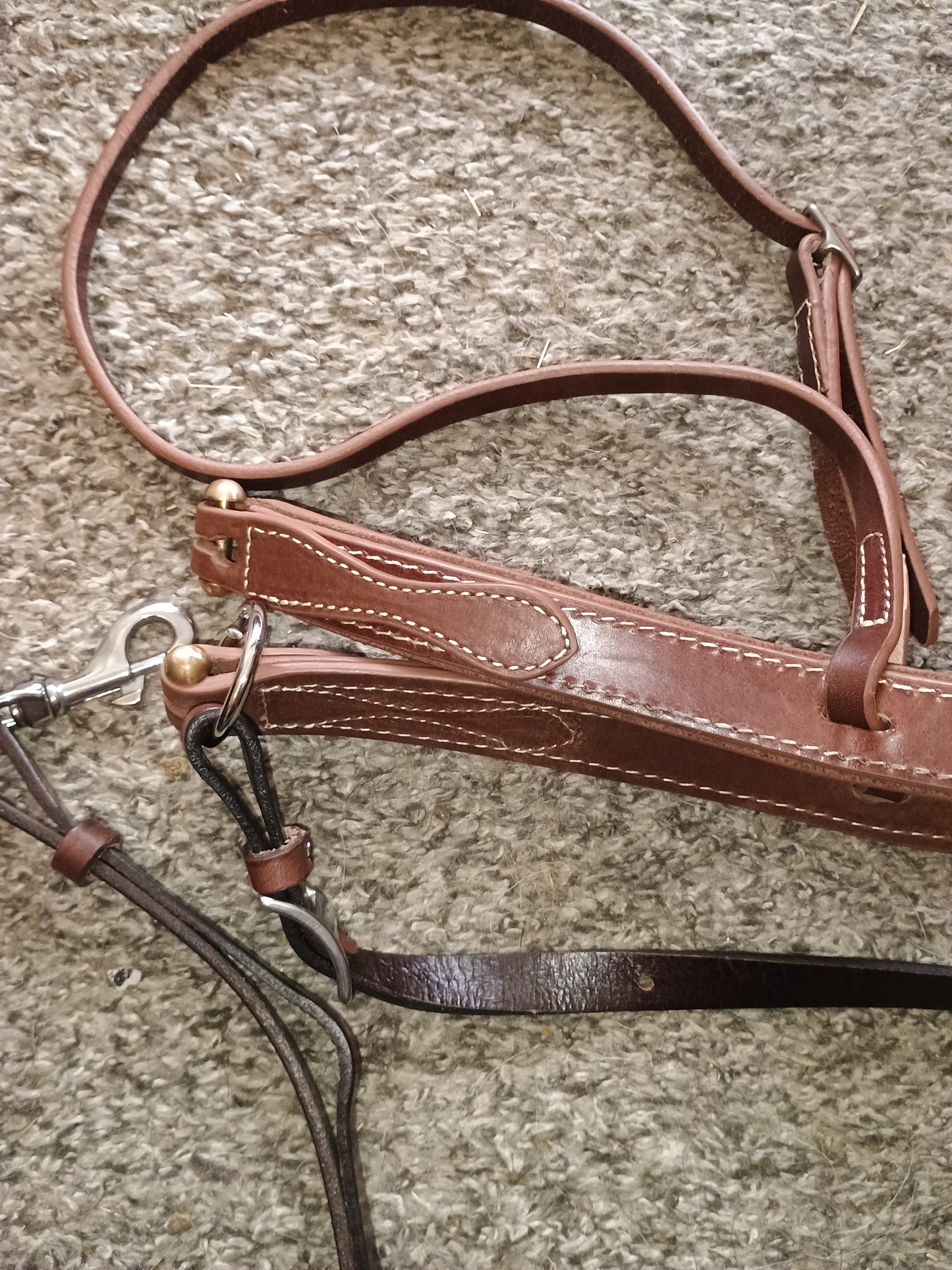 Jeereal Round Nose Caveson Rolled Adjustable Noseband with Leather Horse Tie Down Strap for Horses Efficient Horse Training Aid | Premium Heavy Oiled Harness Leather | Reinforced Stitching