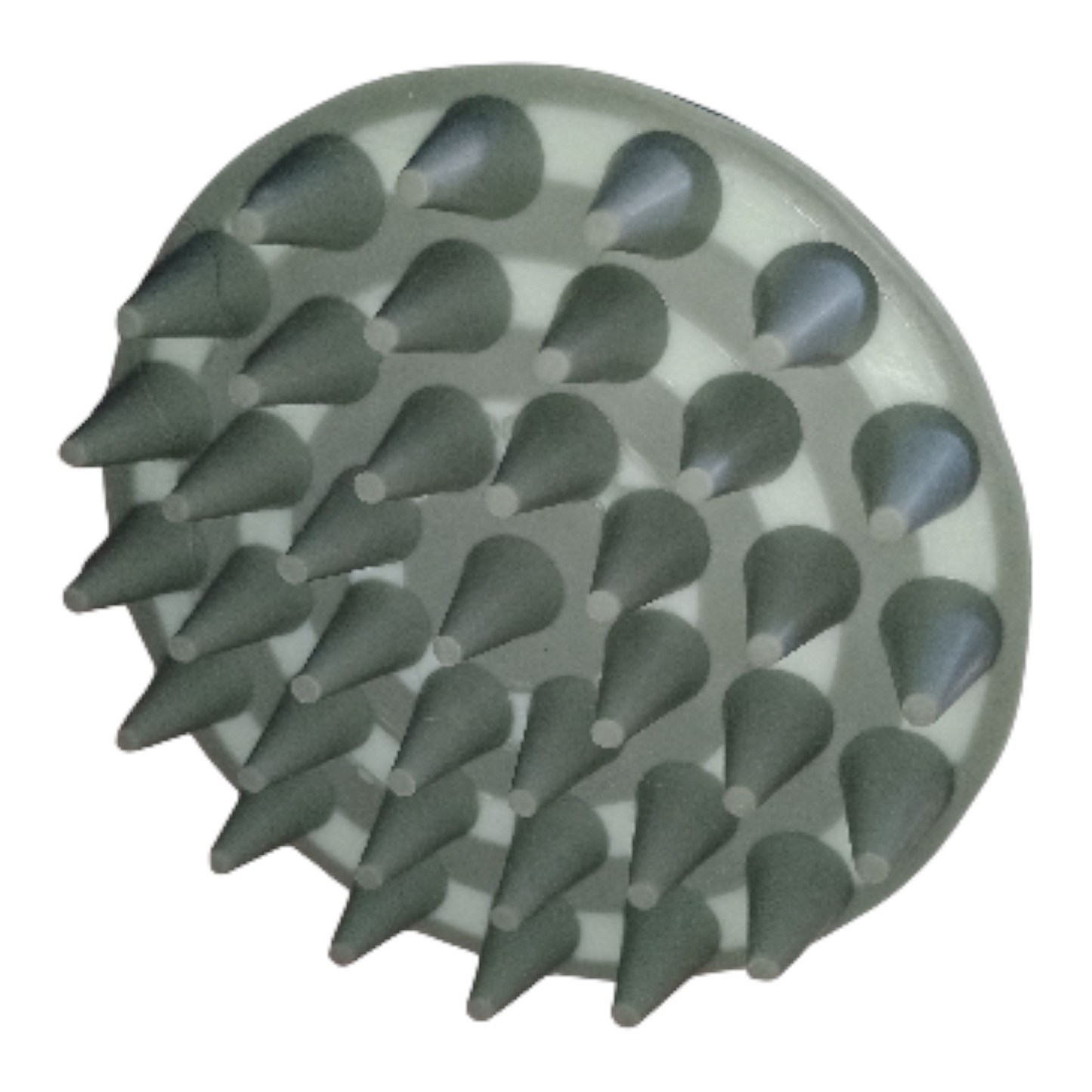 Paddle Brush & Soft Round Curry Comb HORSE Sage Color