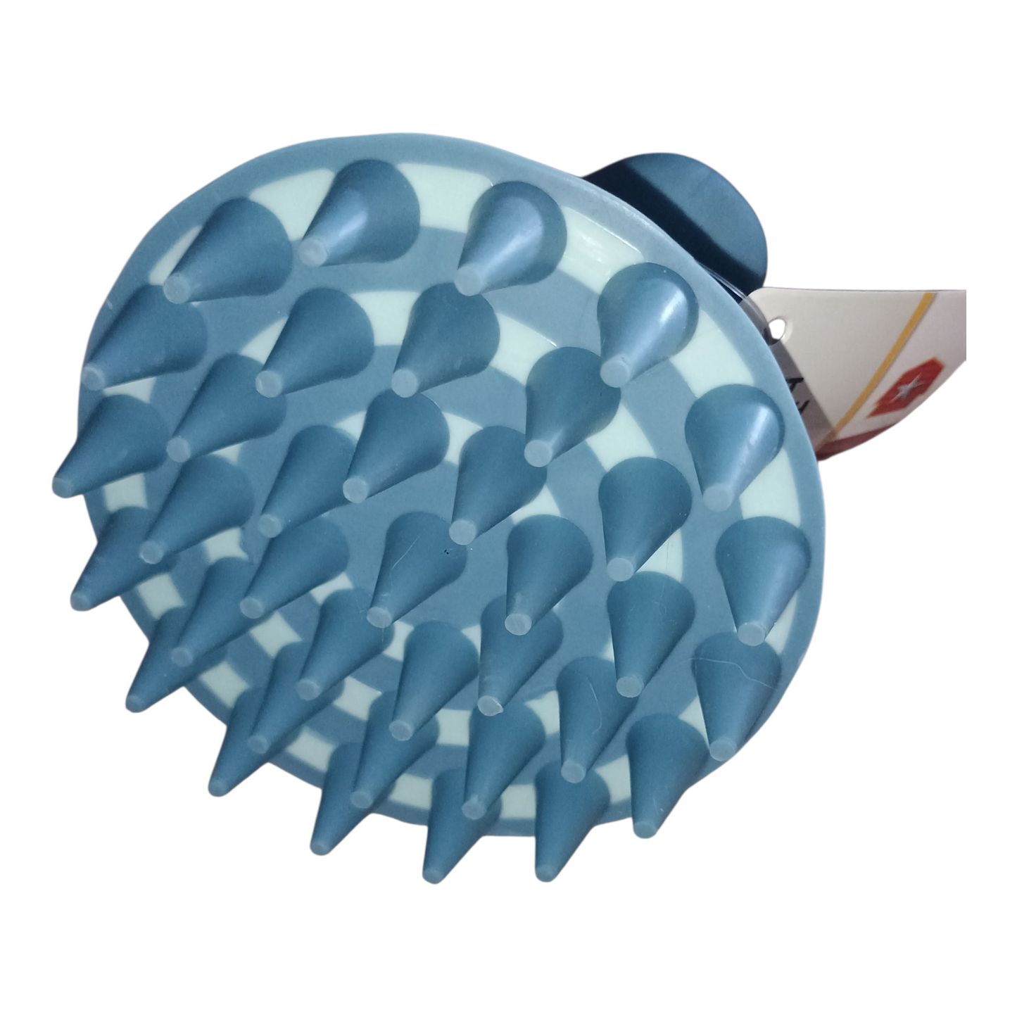 Paddle Brush & Soft Round Curry Comb HORSE Blue Color
