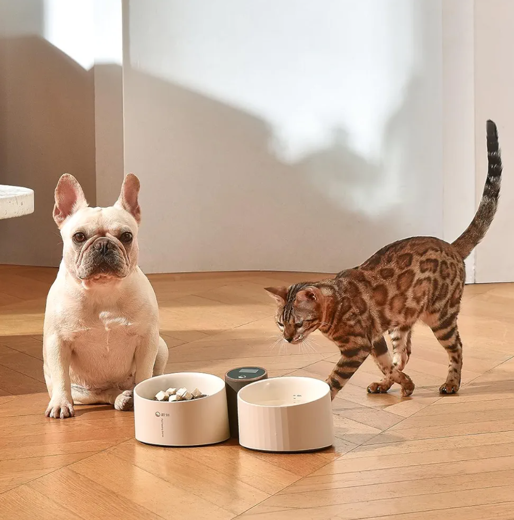 VOOCOO Smart Raised Dog Cat Food Bowl, Elevated Pet Food and Water Bowl Dishes with Built-in Digital Scale and Water Level Line, Battery-Powered, LED touch screen, Non-Slip, 10° Tilted Bowl with Stand