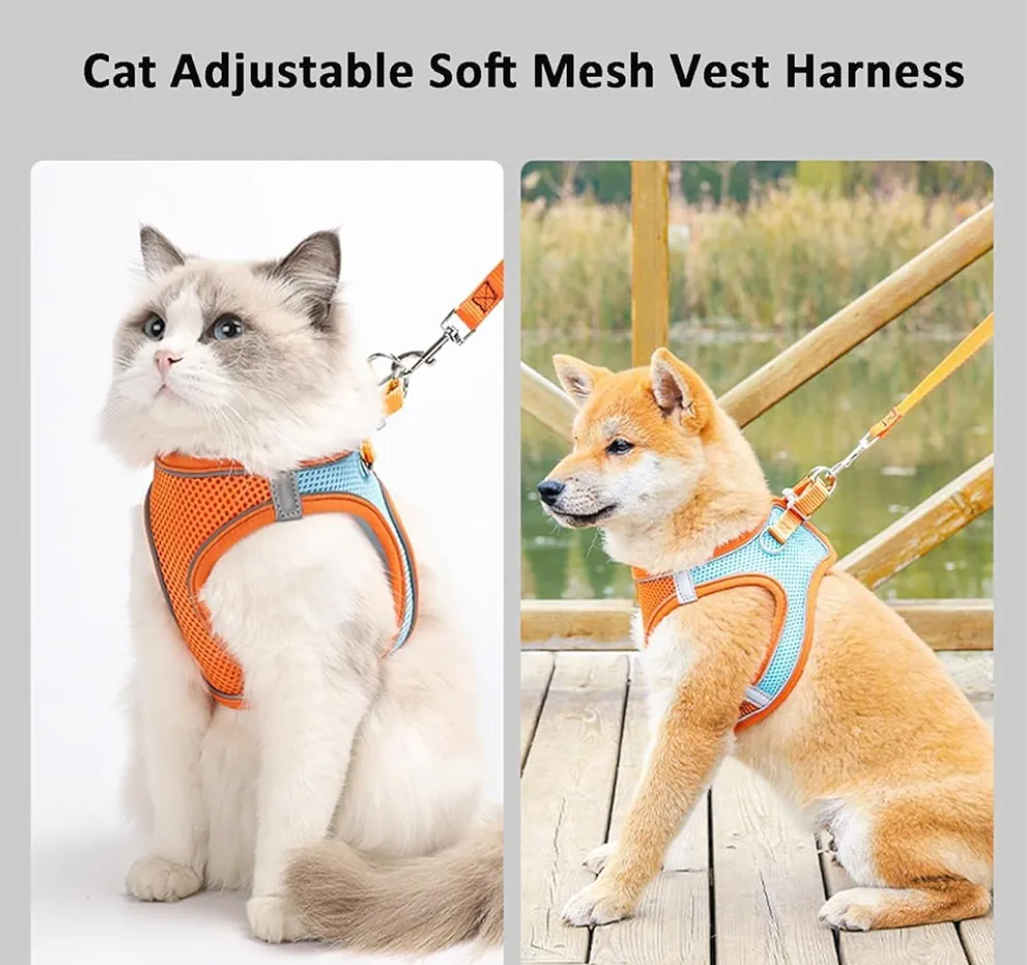Stimulicat Cat/Dog Harness, Adjustable Cat Harness and Leash Set–Escape Proof Soft Mesh Vest, with Reflective Safety Strips, for Cats and Dogs (Orange Blue,L)