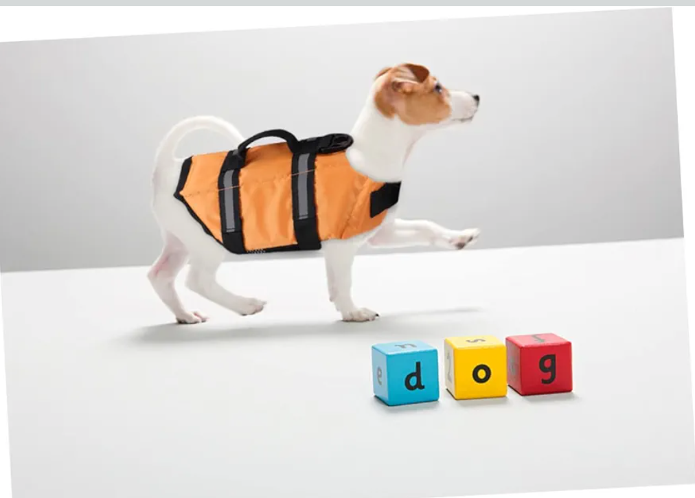 Mikikit PET Life Jacket for Dogs Adjustable Buoyancy Preserver Reflective Vest Lightweight and Sturdy XS Size (Orange)