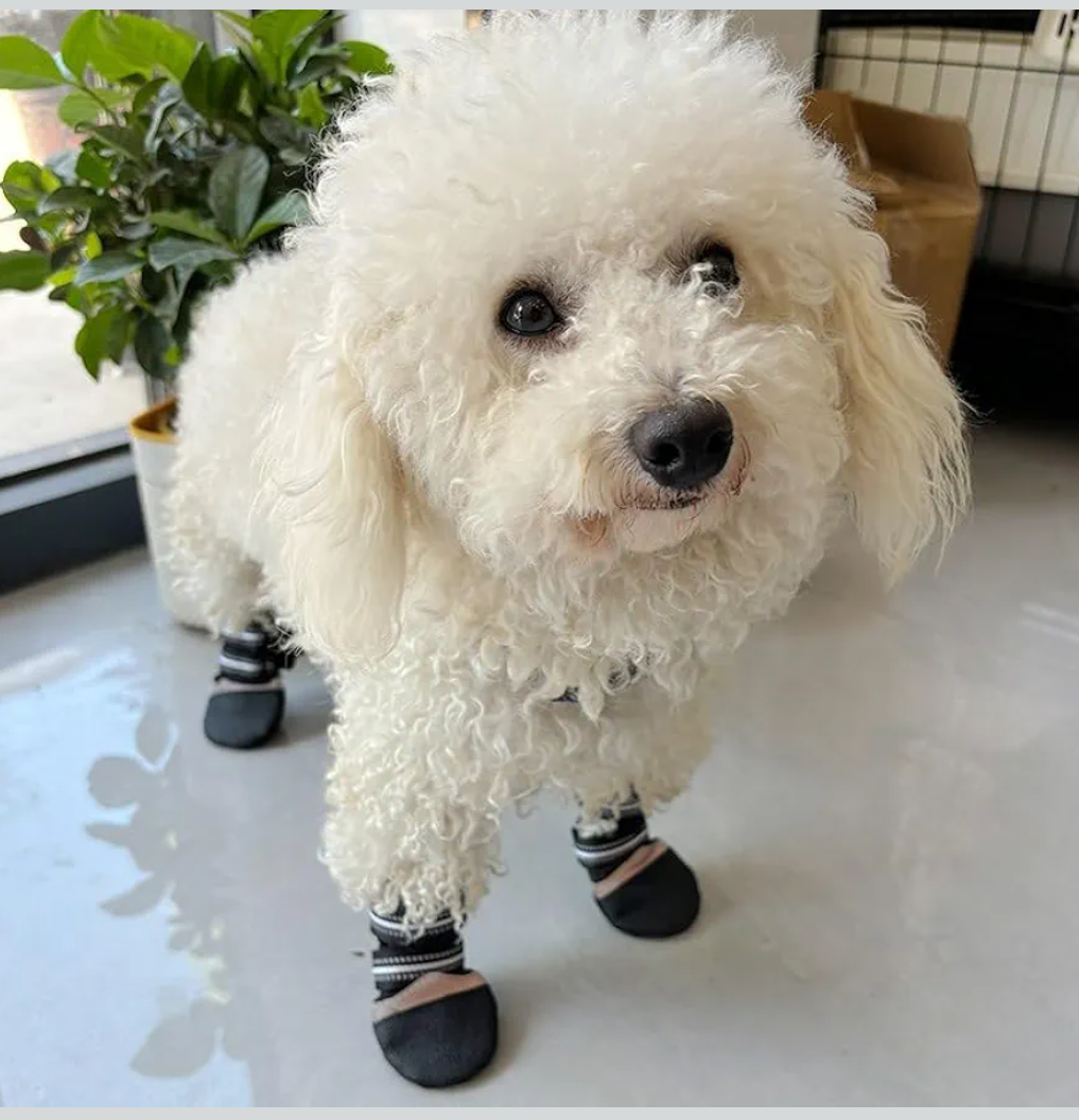 Premium Neoprene Tape Fiber Dog Booties - Grip That Works Even When Twisted - Versatile Paw Protection That Prevents Licking, Slipping, and Waterproof Dog Boots with Reflective Stripes (Small)
