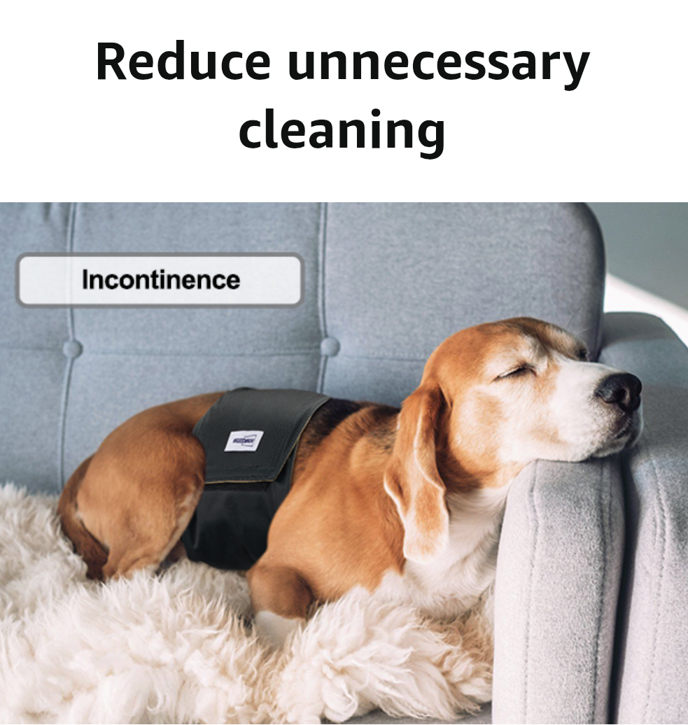 Washable Dog Diapers Male Reusable, Premium Belly Bands for Male Dogs, Pack of 3, High Absorbing Extra Large Male Dog Pee Wraps for Doggies in Incontinence or Excitable Urination and Training(XL)