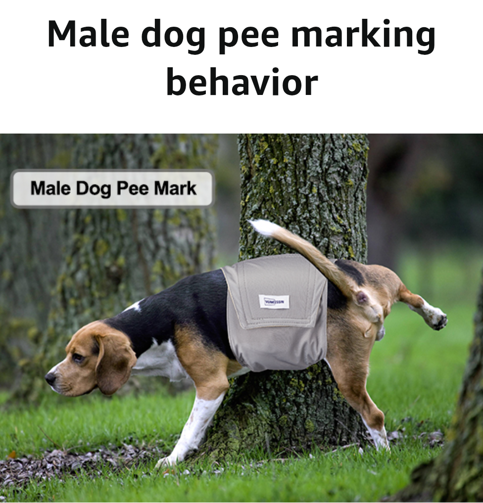 Washable Dog Diapers Male Reusable, Premium Belly Bands for Male Dogs, Pack of 3, High Absorbing Extra Large Male Dog Pee Wraps for Doggies in Incontinence or Excitable Urination and Training(XL)