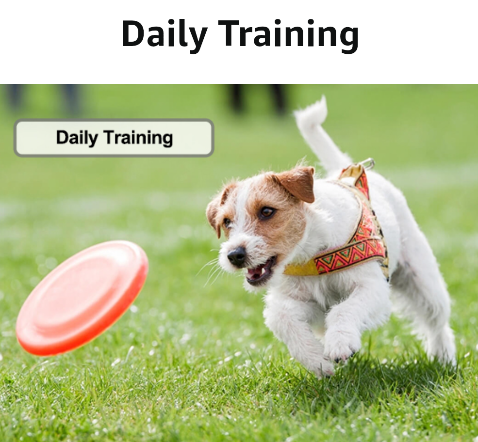 Washable Dog Diapers Male Reusable, Premium Belly Bands for Male Dogs, Pack of 3, High Absorbing Extra Large Male Dog Pee Wraps for Doggies in Incontinence or Excitable Urination and Training(XL)