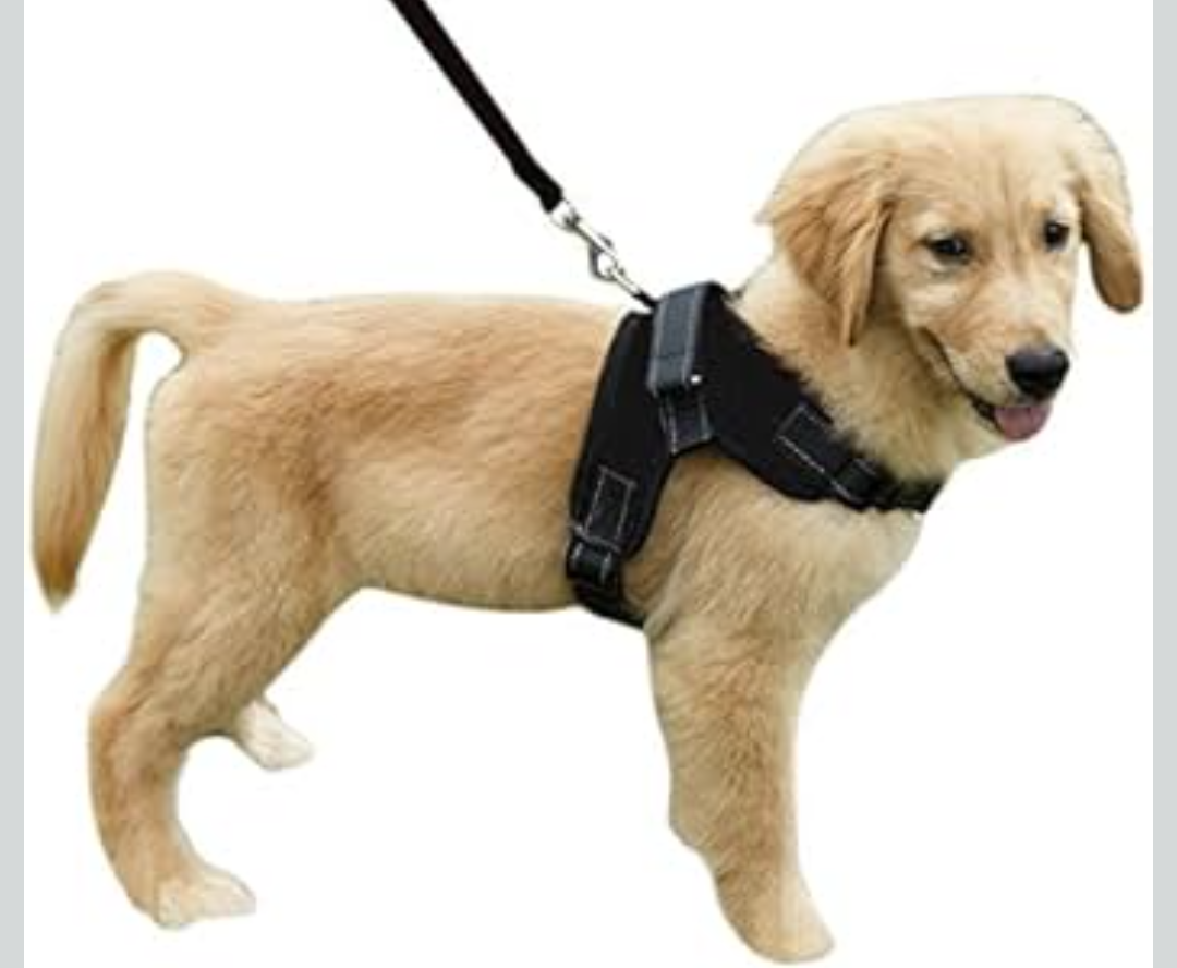 Dog Harness with Handle Pet Training Walking Supplies No-Pull Pet Vest to Prevent Tugging Pulling Choking, Black