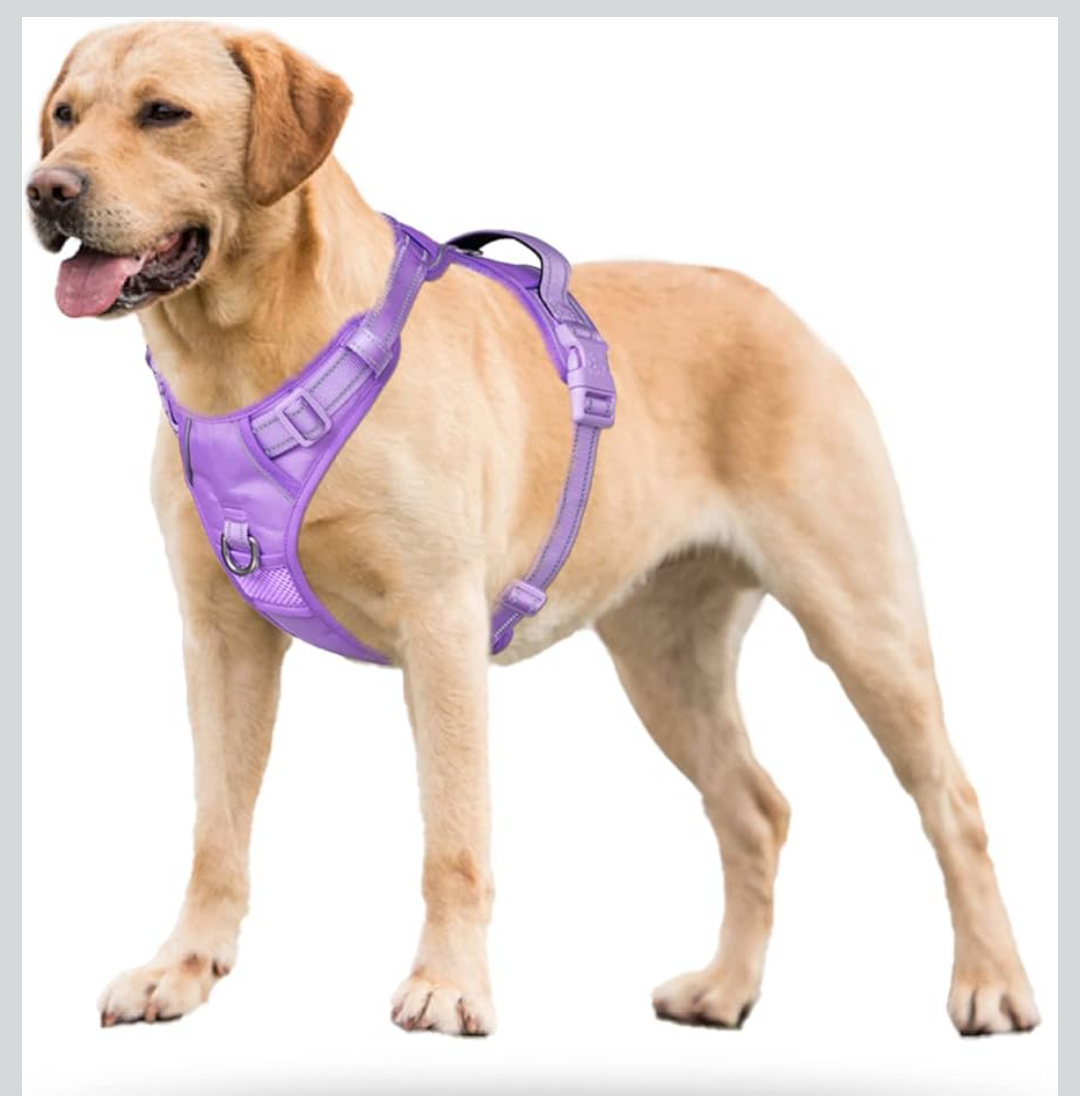 PoyPet No Pull Dog Harness, No Choke Reflective Dog Vest, Adjustable Pet Harnesses with Easy Control Padded Handle for Small Medium Large Dogs(Light Purple Matching Trim,XL)