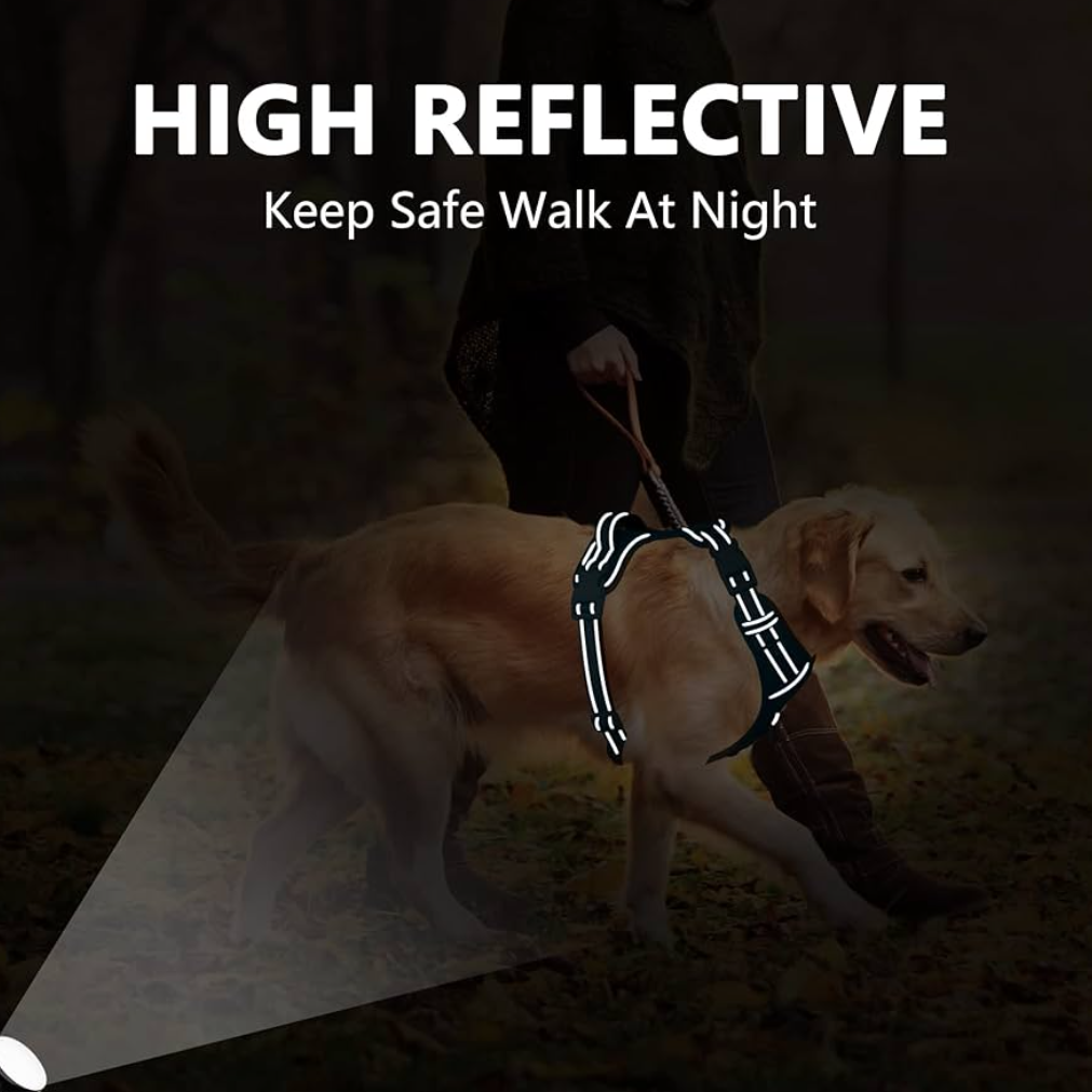 PoyPet No Pull Dog Harness, No Choke Reflective Dog Vest, Adjustable Pet Harnesses with Easy Control Padded Handle for Small Medium Large Dogs(Light Purple Matching Trim,XL)