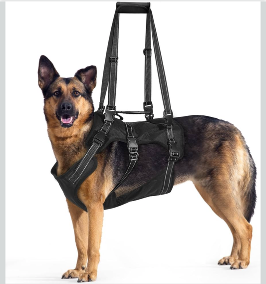 BENCMATE Dog Harness, Multipurpose Designed with Side-lift Carrier, Reflective Strips, for Large Dogs (Black)