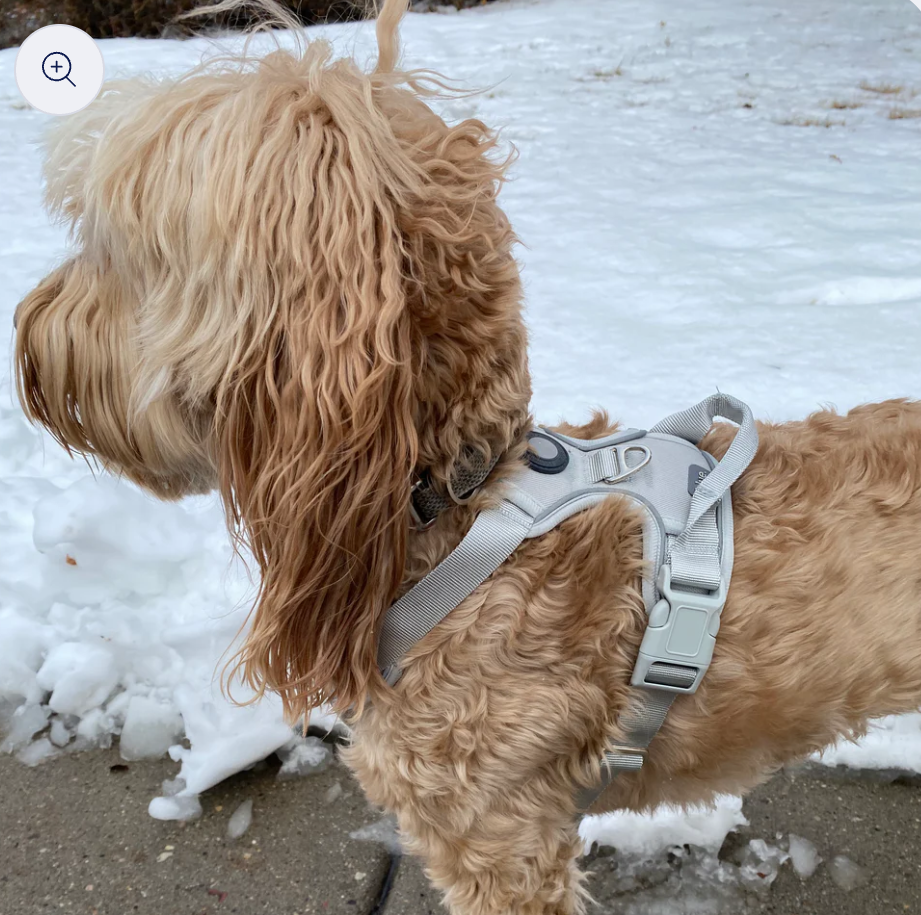 Smart Dog Harness With Cloud Tag New, Large