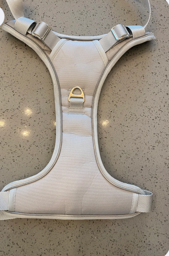 Smart Dog Harness With Cloud Tag New, Large