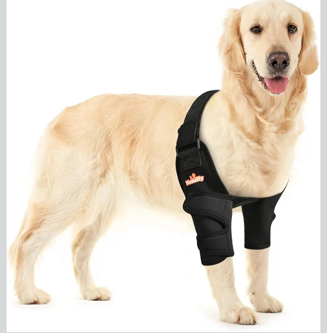 NeoAlly Dog Elbow Brace Protector Pads for Canine Elbow and Shoulder Support Elbow Hygroma, Dysplasia, Osteoarthritis, Elbow Calluses, Pressure Sores and Shoulder Dislocation - S Pair