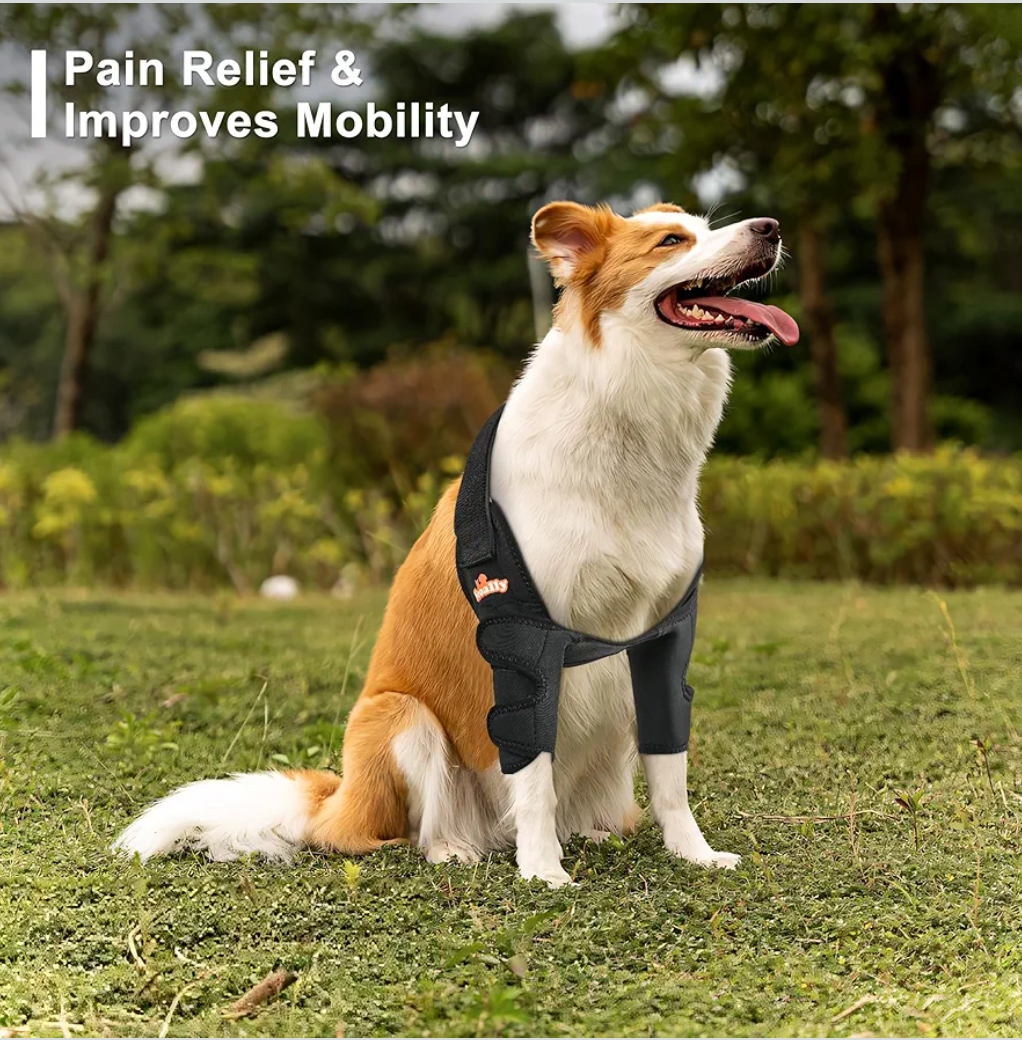 NeoAlly Dog Elbow Brace Protector Pads for Canine Elbow and Shoulder Support Elbow Hygroma, Dysplasia, Osteoarthritis, Elbow Calluses, Pressure Sores and Shoulder Dislocation - S Pair