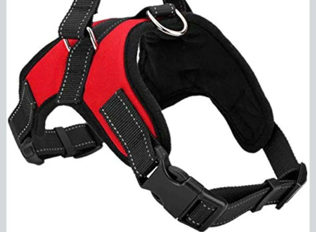 Pet Dog Harness Soft Breathable No Pull Walk Harness Vest Canvas Harness for Small Medium Puppy Pets Products(M,Red)