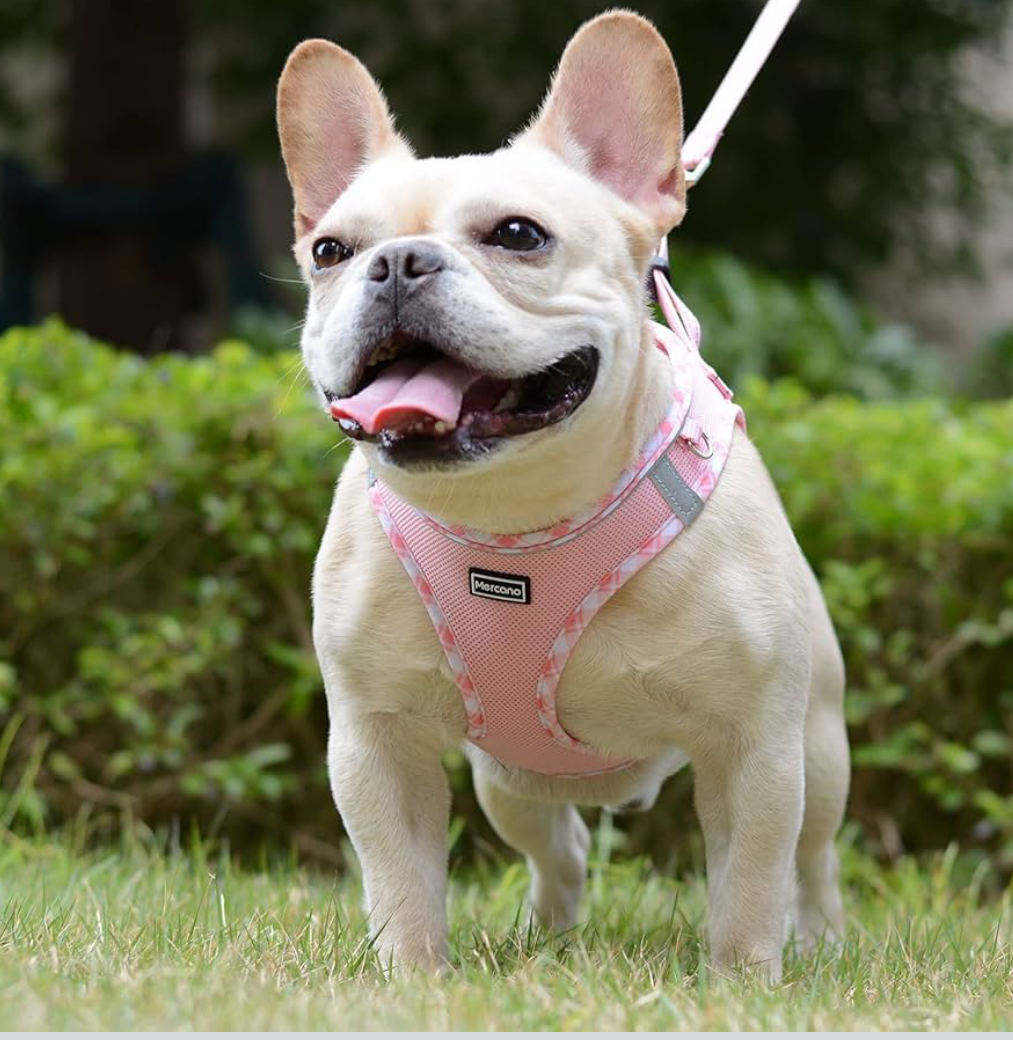 Mercano Soft Mesh Dog Harness, No-Chock Step-in Reflective Breathable Lightweight Easy Walk Vest Harnesses with Safety Buckle for Small Dogs, Cats (Pink, L)