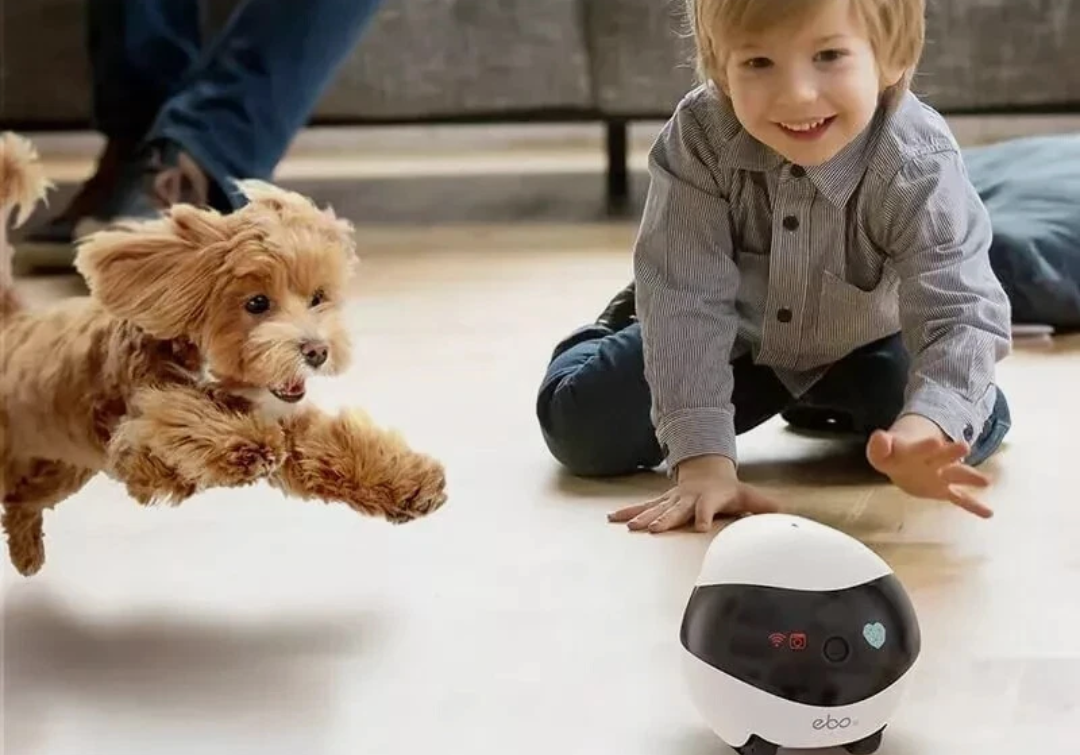 Enabot EBO SE Moving Security Camera Smart Home Wireless Surveillance Robot