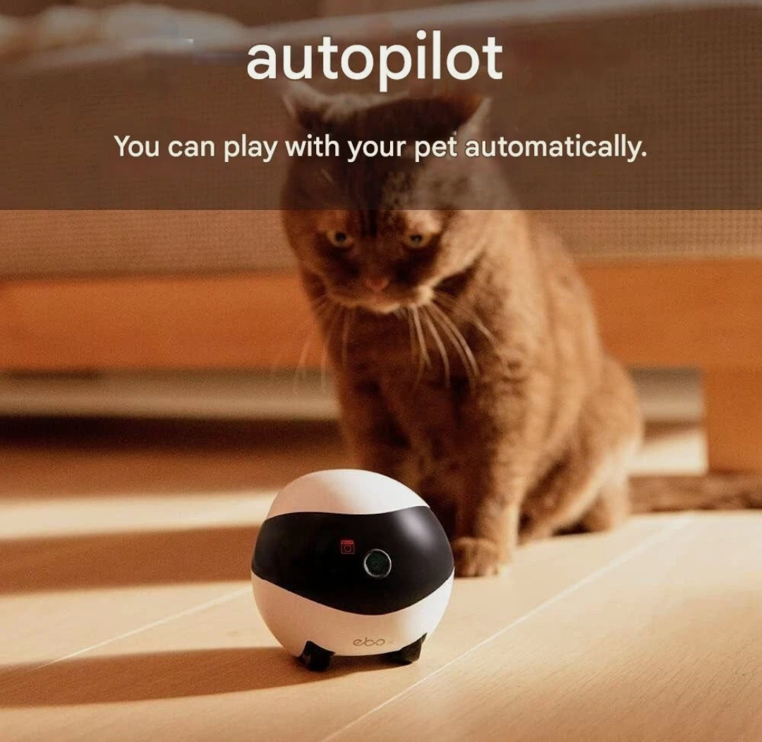 Enabot EBO SE Moving Security Camera Smart Home Wireless Surveillance Robot