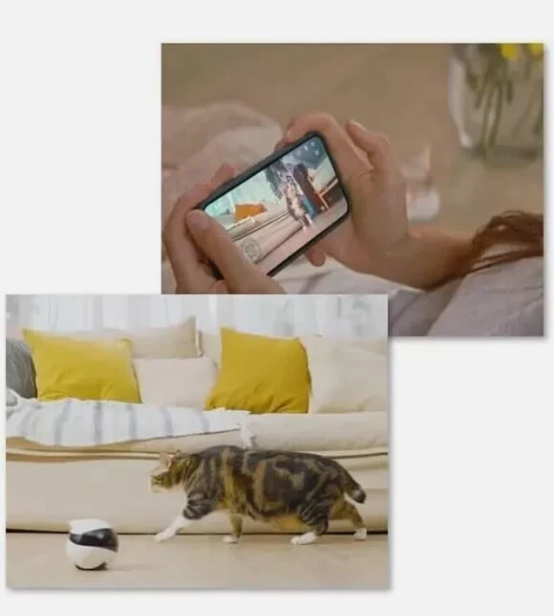 Enabot EBO SE Moving Security Camera Smart Home Wireless Surveillance Robot